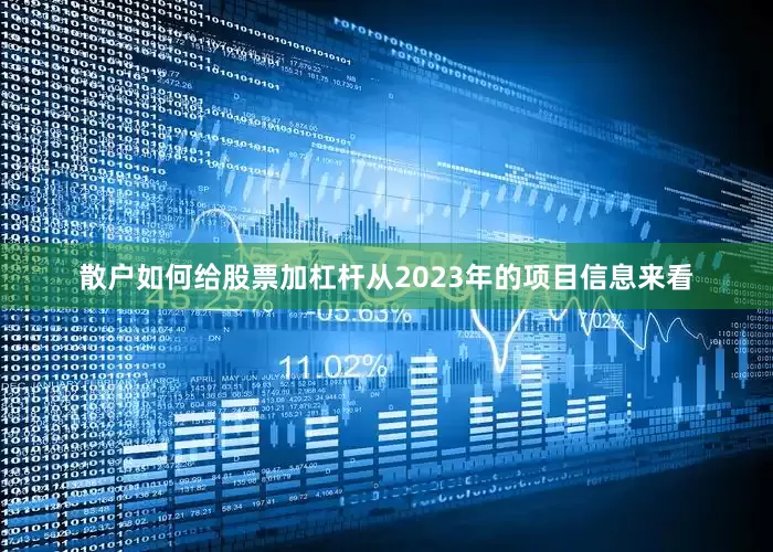 散户如何给股票加杠杆从2023年的项目信息来看