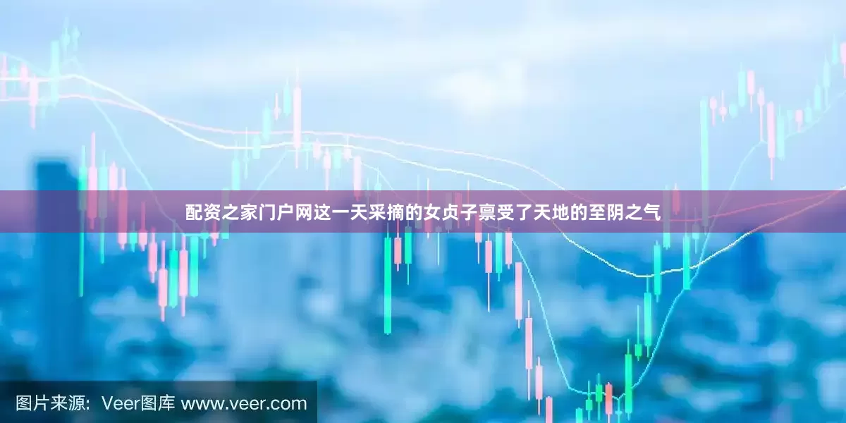 配资之家门户网这一天采摘的女贞子禀受了天地的至阴之气