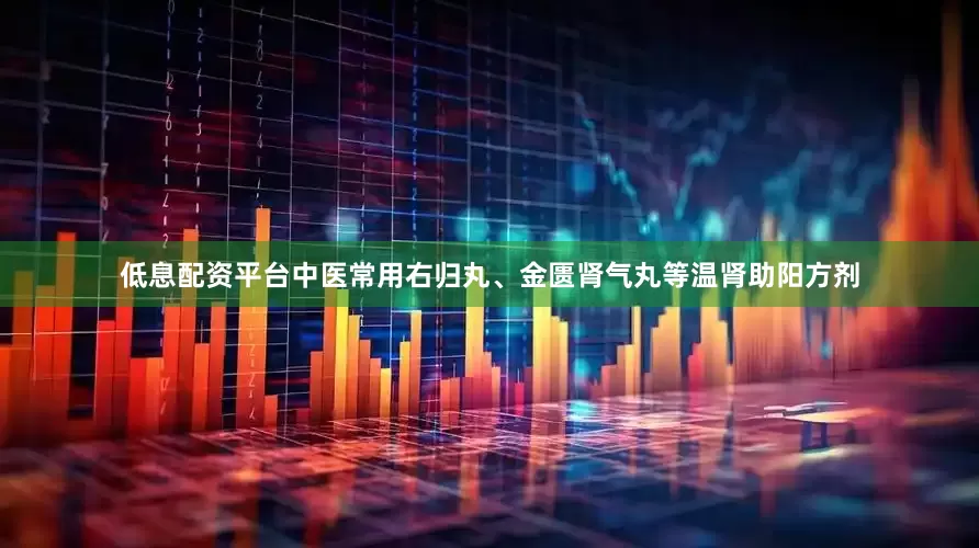 低息配资平台中医常用右归丸、金匮肾气丸等温肾助阳方剂